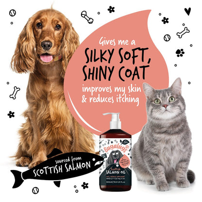 Bugalugs Salmon Oil (500ml) - Kibble UK - My Online Pet Store