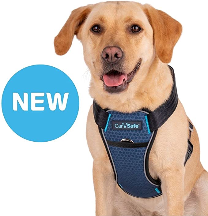 Carsafe Crash Tested Harness Kibble UK Made In The UK – My