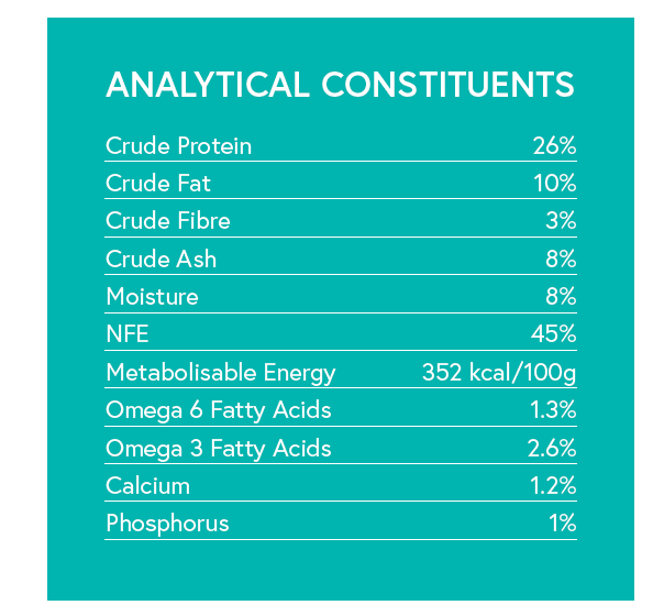 Grain Free Adult Dog Food - Tuna with Sweet Potato & Broccoli - Kibble UK - My Online Pet Store