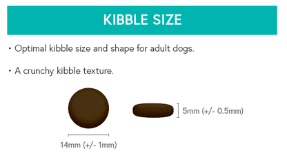 Grain Free Light (Weight Control) Dog Food - Trout with Salmon, Sweet Potato & Asparagus - Kibble UK - My Online Pet Store