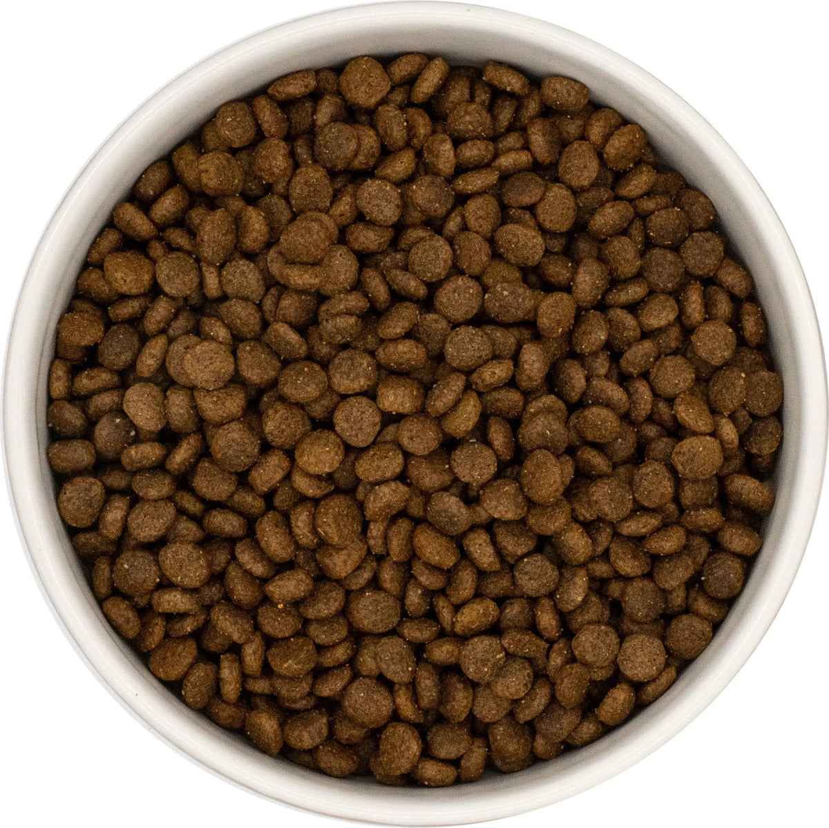 Cheapest place to buy dog food online hot sale