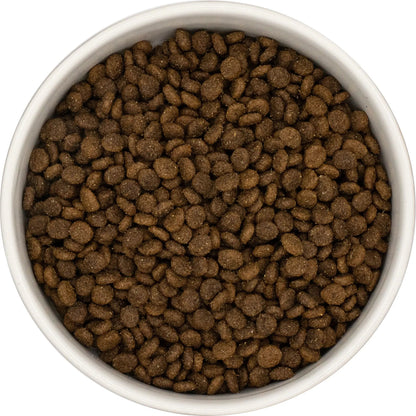 Grain Free Small Breed Dog Food - Lamb with Sweet Potato & Mint - Kibble UK - My Online Pet Store