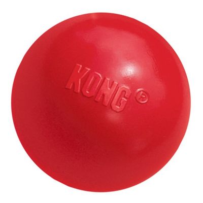 KONG Ball with Hole - Kibble UK - My Online Pet Store