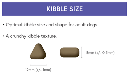 Super Premium Adult Dog Food - Lamb with Rice - Kibble UK - My Online Pet Store