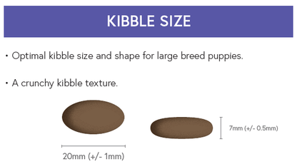 Super Premium Large Breed Puppy Food - Salmon with Potato - Kibble UK - My Online Pet Store