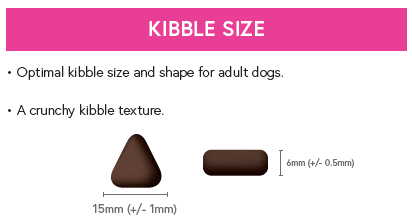 Superfood 65 ® Dog Food - Angus Beef with Carrot, Green Beans, Cauliflower, Tomato & Courgette - Kibble UK - My Online Pet Store