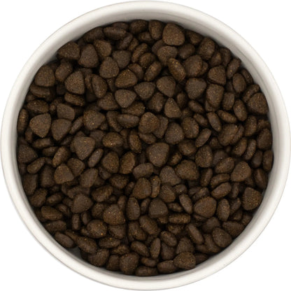 Superfood 65 ® Puppy Food - Scottish Salmon with Dill, Spinach, Fennel, Asparagus & Tomato - Kibble UK - My Online Pet Store