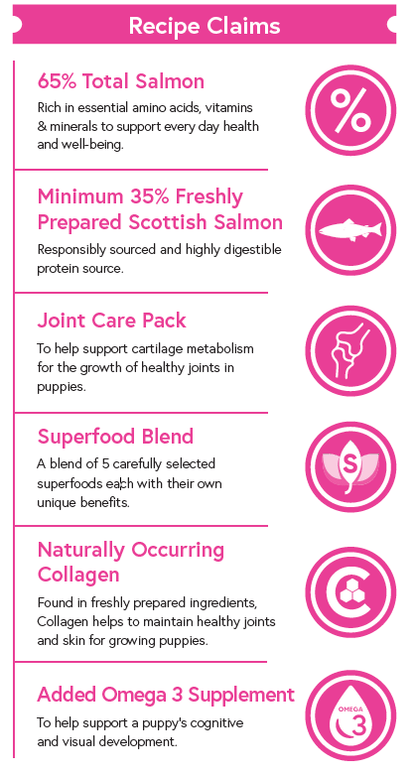 Superfood 65 ® Puppy Food - Scottish Salmon with Dill, Spinach, Fennel, Asparagus & Tomato - Kibble UK - My Online Pet Store