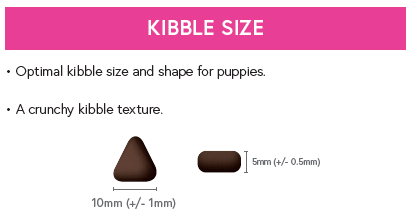 Superfood 65 ® Puppy Food - Scottish Salmon with Dill, Spinach, Fennel, Asparagus & Tomato - Kibble UK - My Online Pet Store
